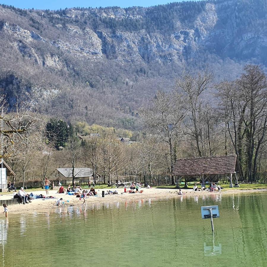 Superbe Appartement Au Hypercentre De Chambery Bagian luar foto